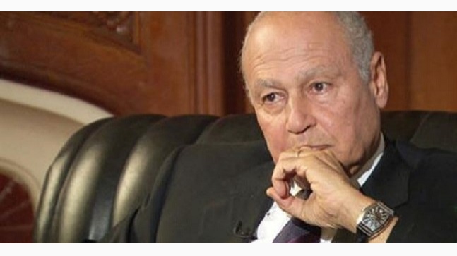 أبو الغيظ: القضية السورية شديدة التعقيد.. ولابد من إقامة 