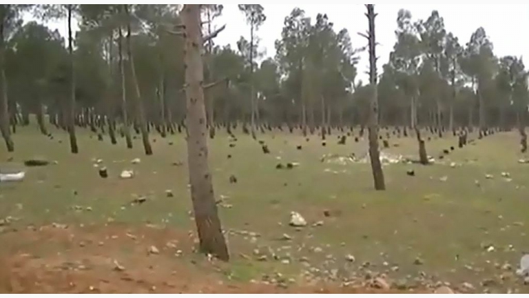 الهلال الأخضر في حلب 