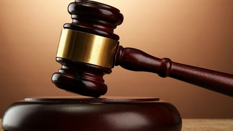 ألمانيا تحاكم مواطنة اصطحبت أطفالها لمناطق داعش بسوريا
