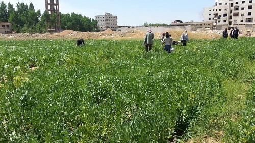 المكتب الإغاثي الموحد في الغوطة المحاصرة 