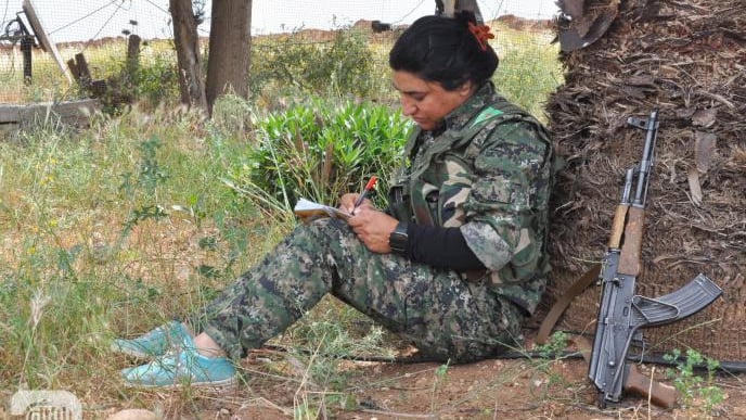 Diary of a Female Fighter