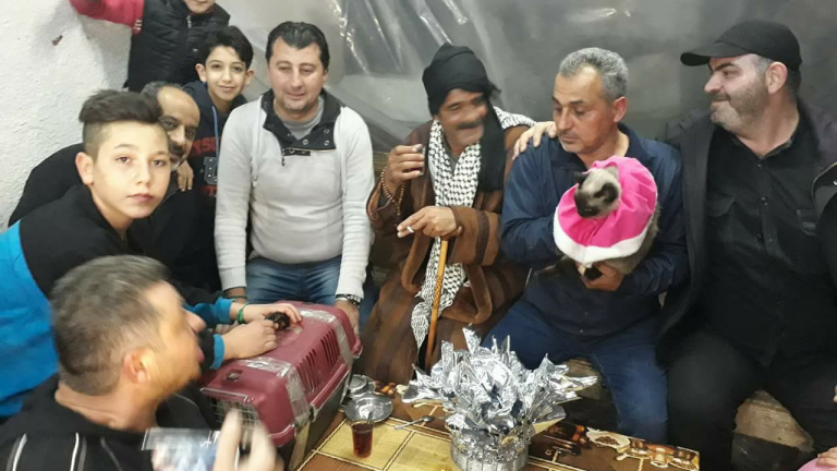 دمشق: حفل زفاف لـ القط 