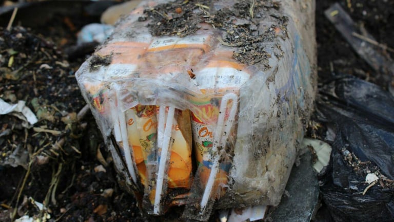 Four Children Died in Jesrin after Drinking Rotten Juice