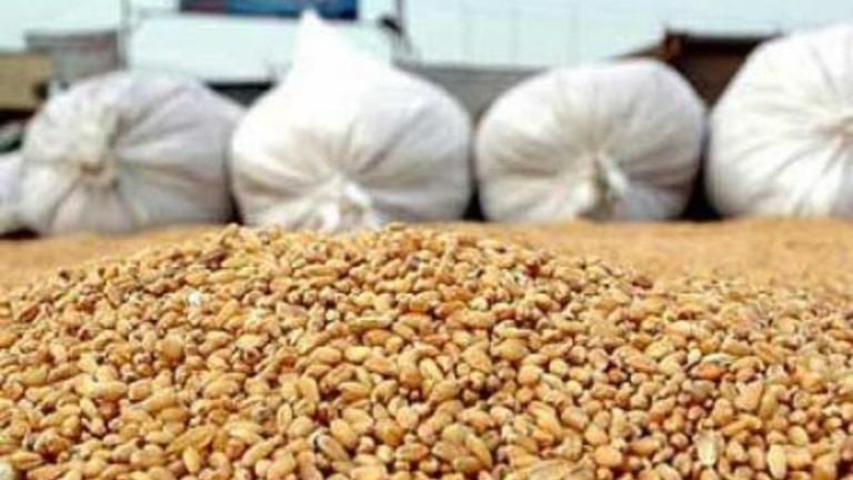 حكومة النظام تريد زيادة واردات الحبوب الروسية 