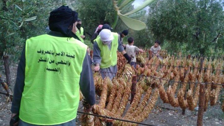 حملة إتحاف الأخوان بحرق مزارع الدخان في ريف اللاذقية