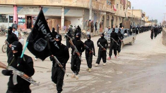 ISIS: One or Multiple? Who is Using Who?