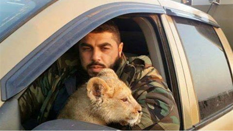 مقتل حصان بطريقة وحشية في مزرعة 