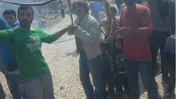 لاجئون في اليونان لـ روزنة: أفاعي في المخيمات ولا استجابة من السلطات