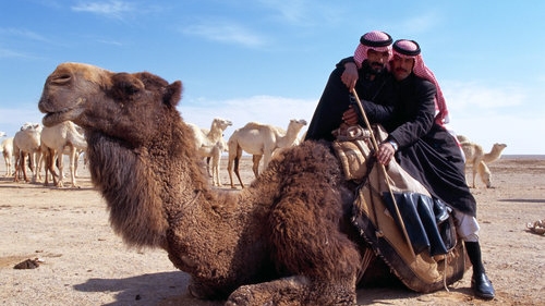 معرض صور في أمريكا يستعرض حياة عشيرة سوريّة