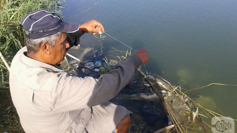 Mahmoud: Fishing Rather than a Government Job!