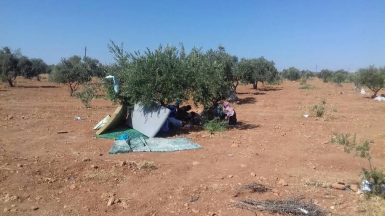 مجزرة في مزارع الهوات بريف حماة الغربي
