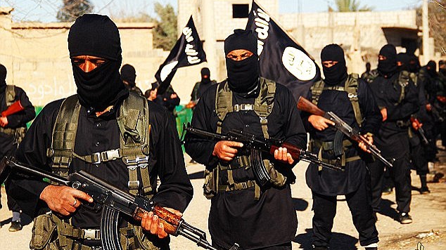 من نكز عش الدبابير في بادية الشام؟
