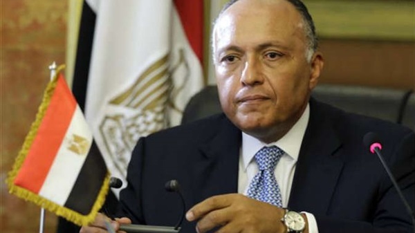 مصر تنفي عزمها ارسال قوات عسكرية إلى سوريا