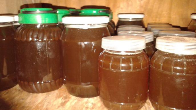 NOT ENOUGH PASTURES FOR HONEY-MAKING BEES WITH THE WAR IN SYRIA!