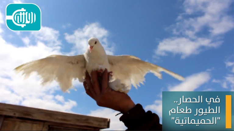 في الحصار.. الطيور طعام 