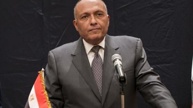 سامح شكري: لن نترك باباً لتفعيله لحل الأزمة السورية