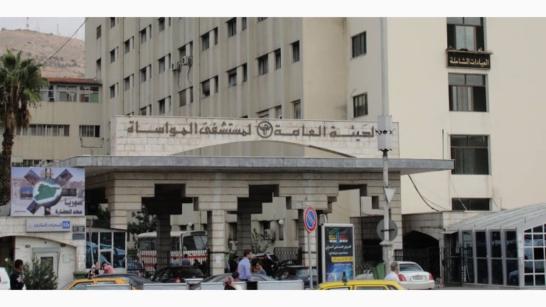 Swine and Bird Influenza in Syria