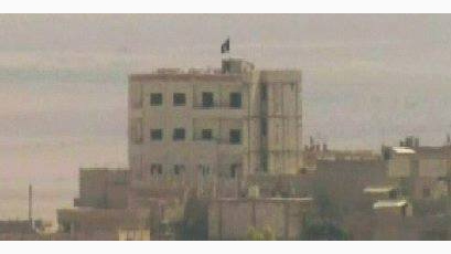 تنظيم 