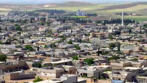 تنظيم 