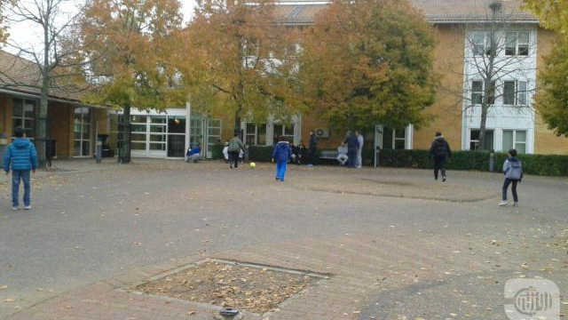 What Frightens Some Syrians in Sweden?
