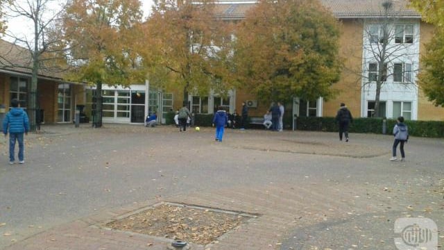 What Frightens Some Syrians in Sweden?