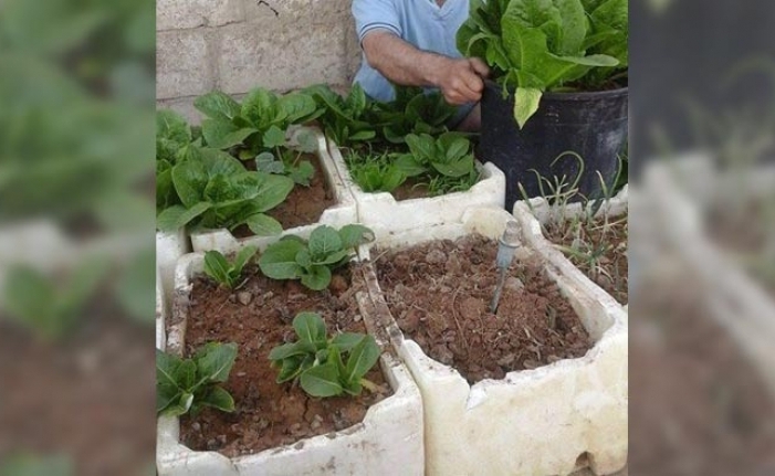 حلول بديلة في سوريا… زراعة منزلية بطرق بسيطة