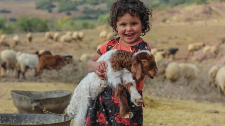 هايدي السورية.. إليكم قصتها كاملةً 
