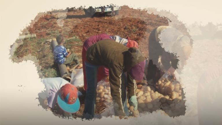 حقوق ملكية الأراضي الزراعية مهددة بالضياع في سوريا