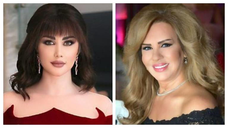 سلمى المصري عن الفنانين المعارضين: 