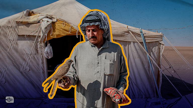 صيد الصقور: وسيلة للترفيه وفرصة لتحقيق الثراء في سوريا