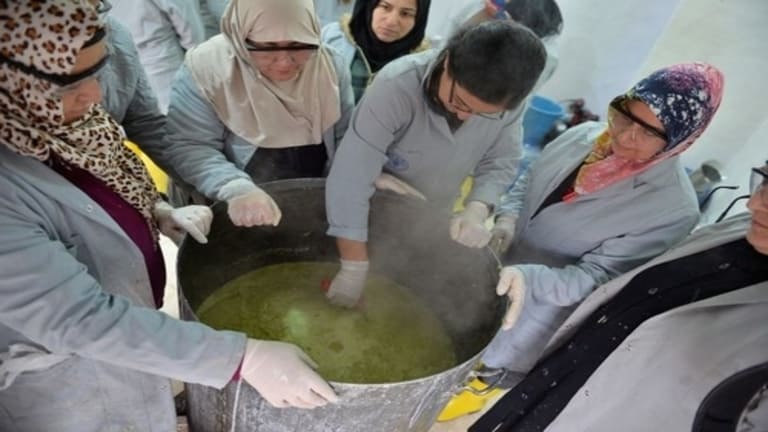 غازي عنتاب.. تدريبات مجانية  لدعم المشاريع النسائية 