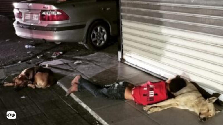 شاورما وحضن أم.. أطفال الشوارع في سوريا يحلمون بأبسط حقوقهم