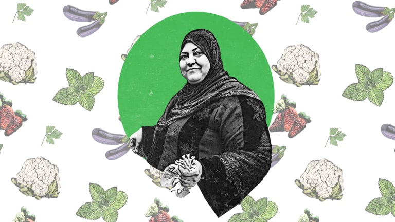 الزراعة المائية حلٌّ للاكتفاء الذاتي لنساء مخيم الزعتري