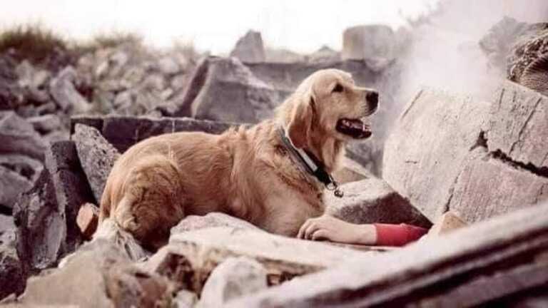 أخبار وصور زائفة عن الزلزال في سوريا