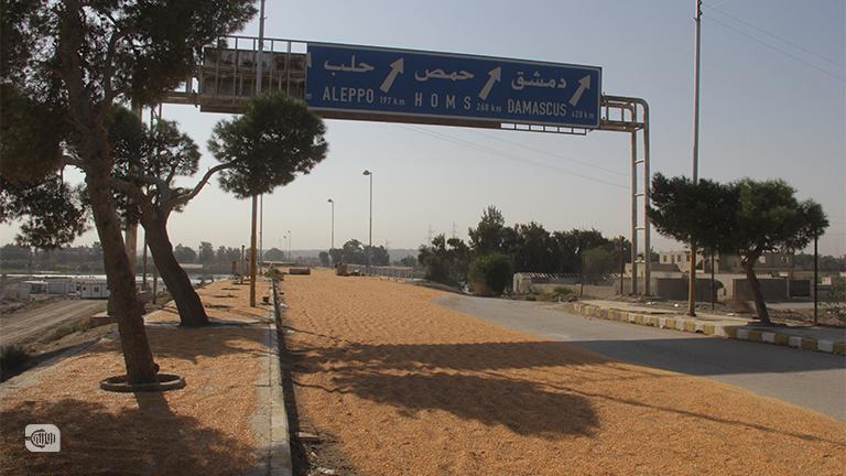 تجفيف محصول الذرة الصفراء في الرقة 