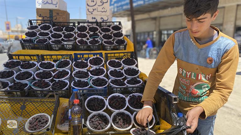 التوت الشامي في محافظة إدلب
