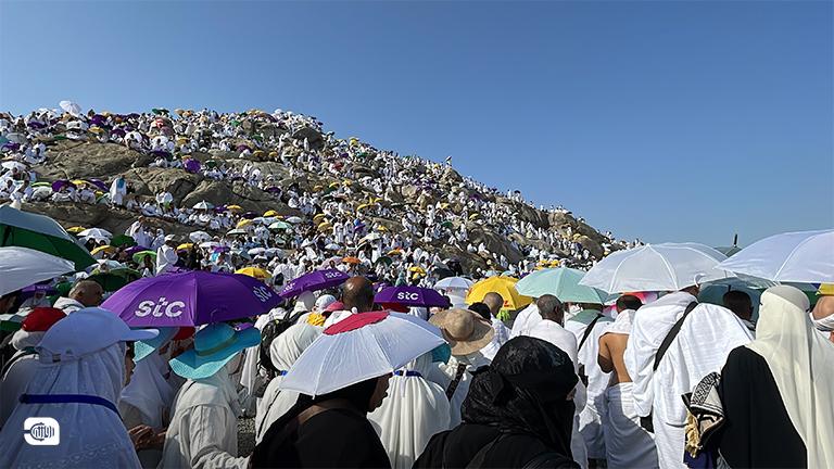 توجه الحجاج إلى جبل عرفة لأداء ركن الحج الأكبر