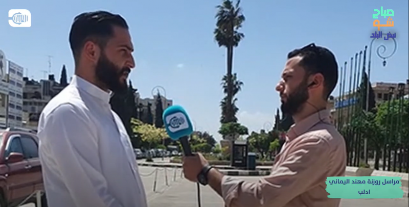 انتشار الحشرات على شكل آفة في مدينة إدلب