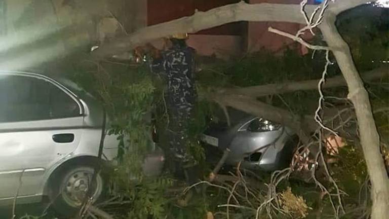 وفاة شاب بدمشق نتيجة سقوط شجرة إثر عاصفة هوائية