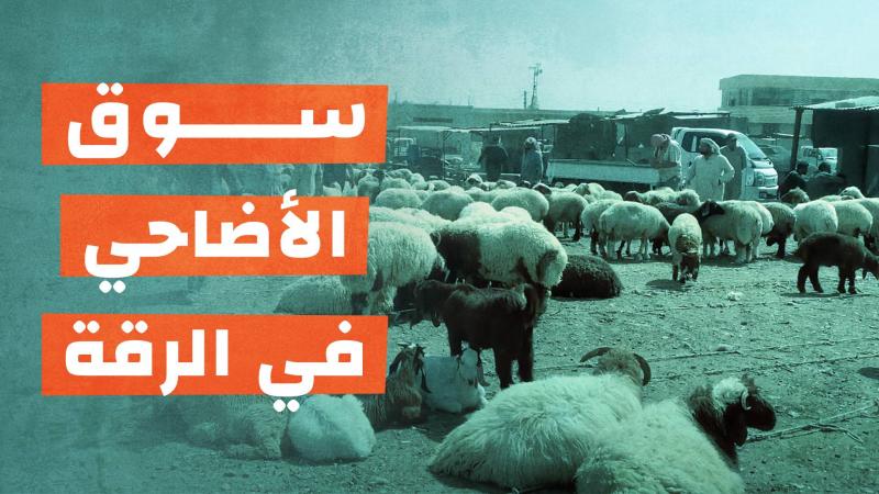 سوق الأضاحي في الرقة