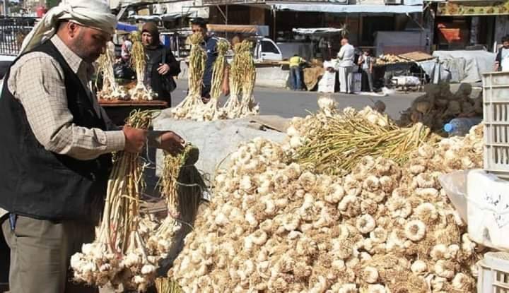 دمشق: ارتفاع سعر الثوم وراتب الموظف الحكومي يشتري أربعة كيلو غرام