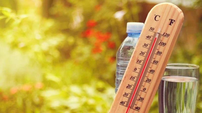 بهذه النصائح الغذائية.. واجه ارتفاع درجات الحرارة