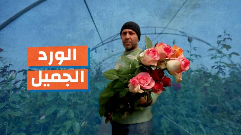 الورد الجميل