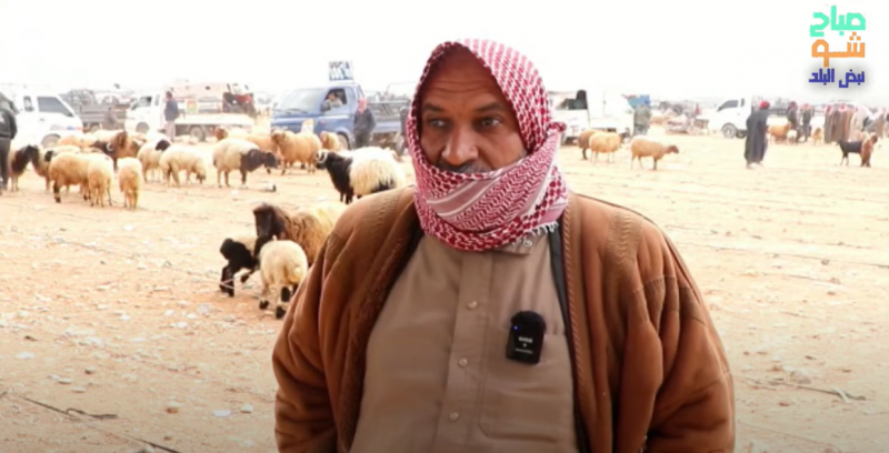 صعوبات تواجه المراعي في عفرين بريف حلب