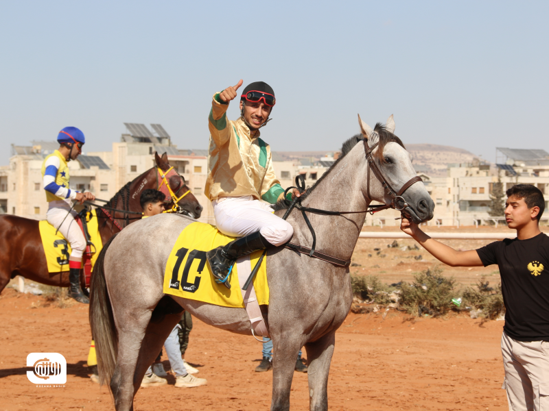 سباق الخيول العربية الأصيلة