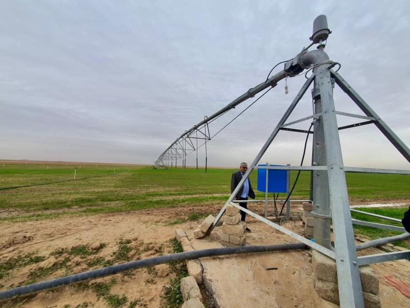 اكتفاء واحتجاجات متجددة: ماذا نعرف عن تجربة العراق مع القمح مقارنة بسوريا؟
