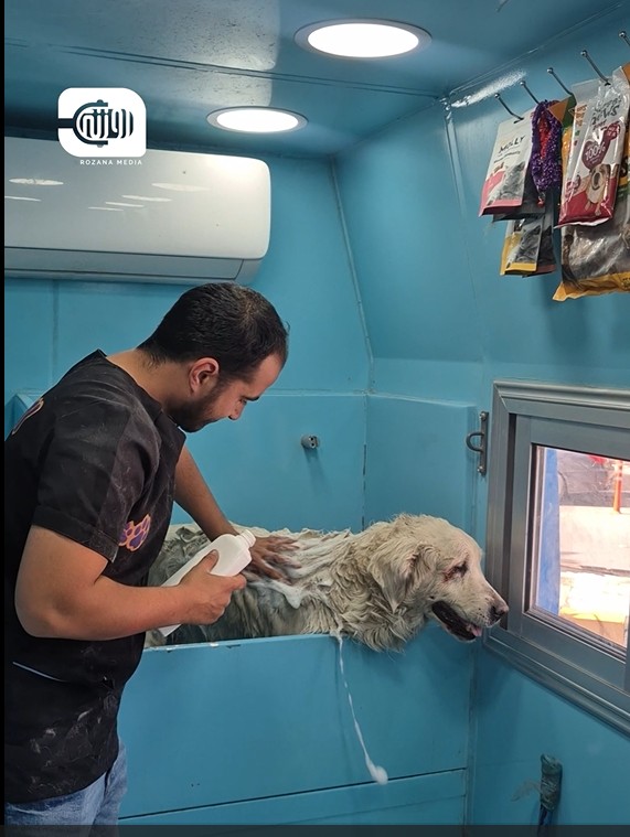 سكوبي.. عناية متنقلة للحيوانات