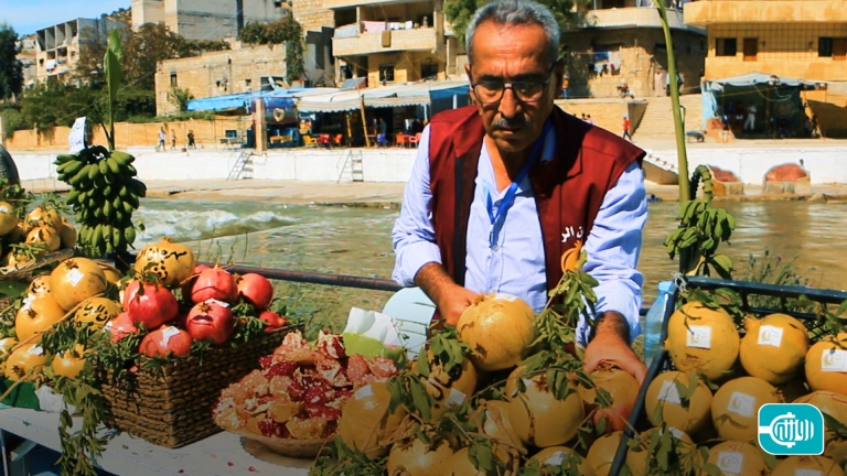 Syrian Pomegranate Defeats War and Blooms