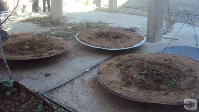 Other Benefits of Satellite Dish in Damascus!