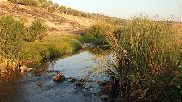 After the Outbreak of Cholera.. Wastewater Pollutes the Efrin River